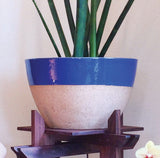 Z Wood Plant Stand, Tranquility Stand multi-use12" square platforms for Plants, Terrariums and Aquarium Bowls