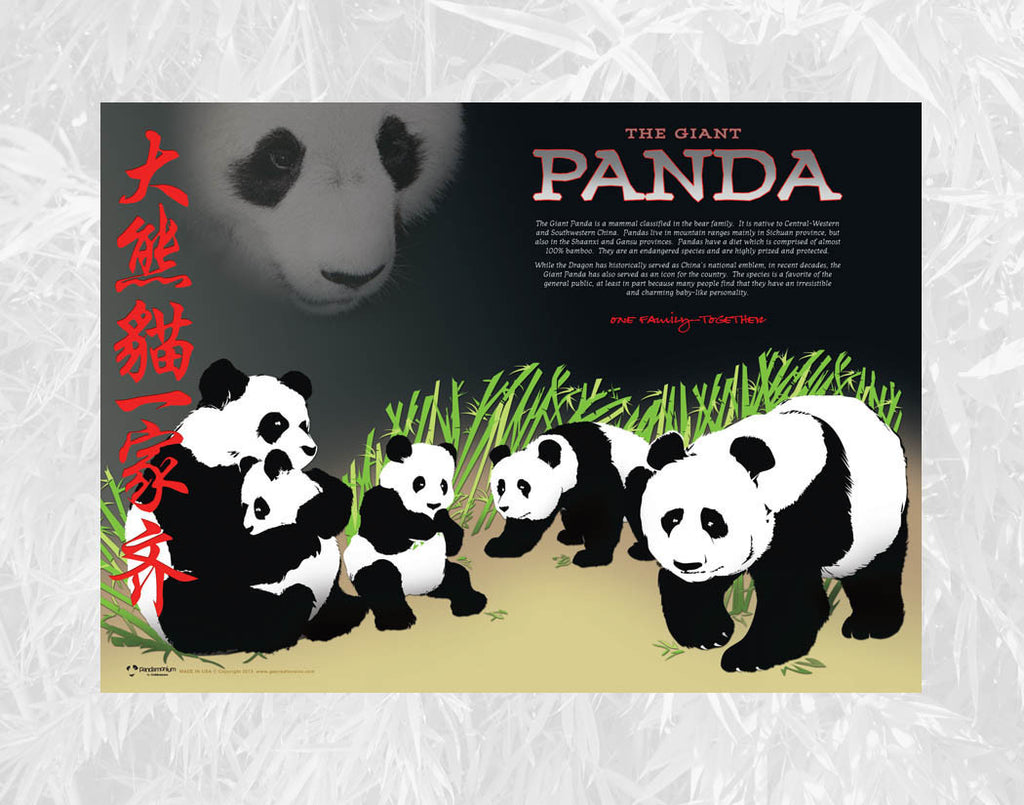 Z Panda Bear Poster, 11" x 14" Giant Panda Poster