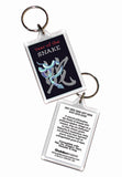 Snake Asian Oriental Chinese 2 pk Keyrings Birth Years: 1941, 53, 65, 77, 89, 01,13, 2025