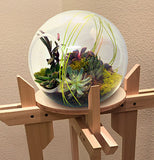 Wood Plant Stand "Tranquility Stand" Dual 10" circular platforms for Plants, Terrariums and Aquarium Bowls